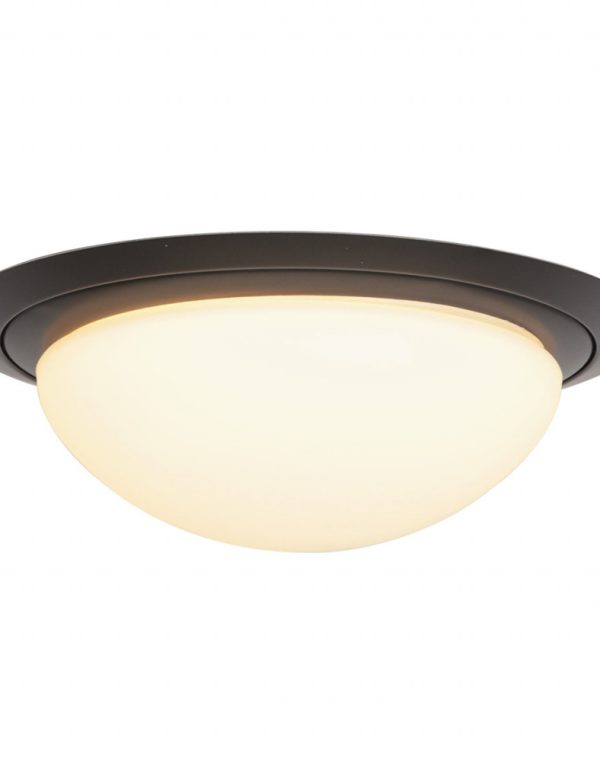 steinhauer-ikaro-1367zw