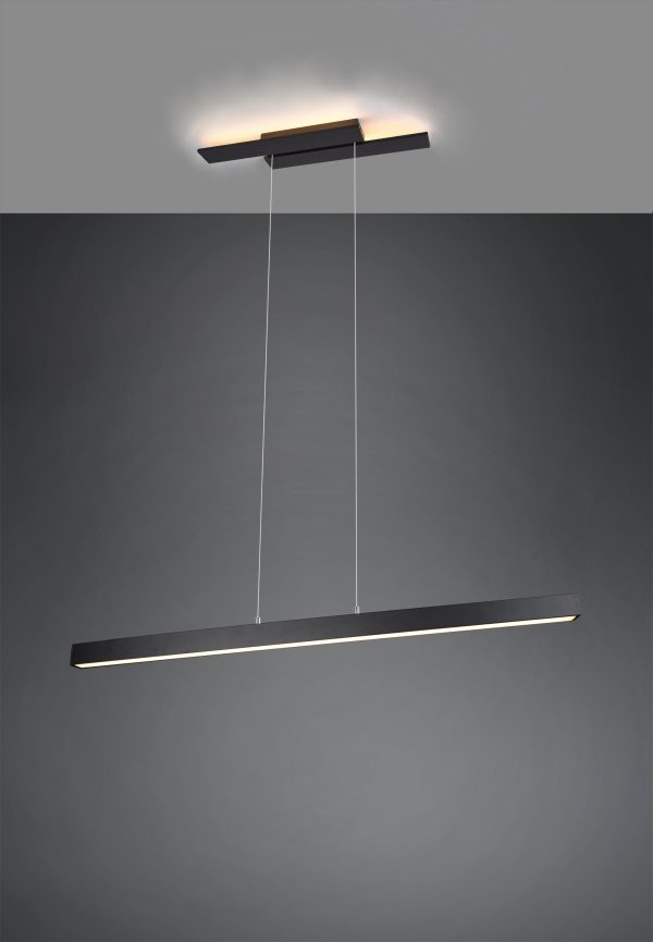 Hanglamp Trio Leuchten Belfast zwart