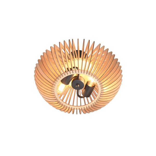 Plafondlamp Trio Leuchten Colino antraciet