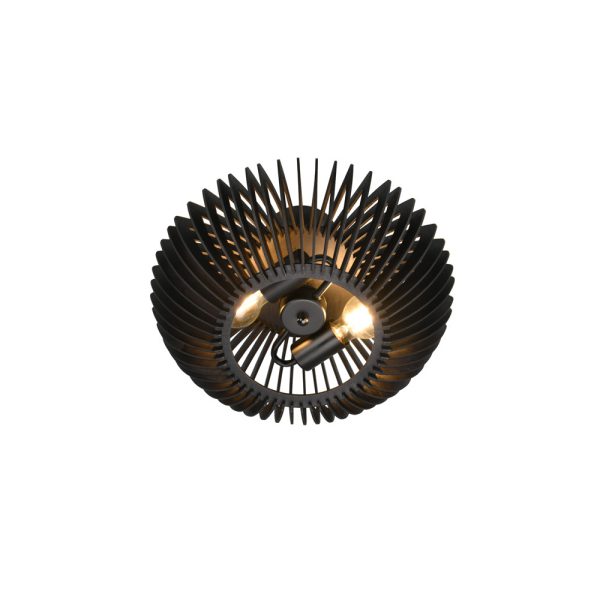 Plafondlamp Trio Leuchten Colino zwart - Image 2