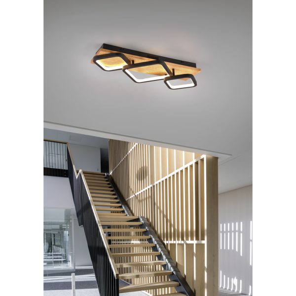 Plafondlamp Trio Leuchten Rama zwart
