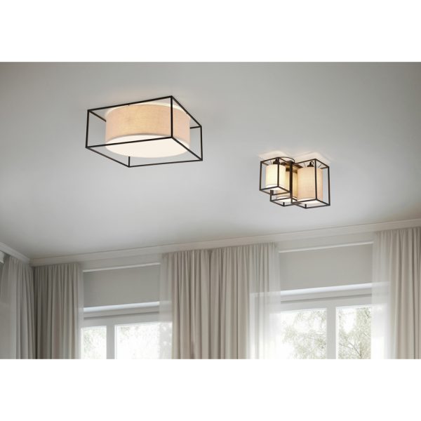 Plafondlamp Trio Leuchten Ross zwart