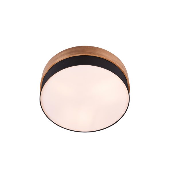 Plafondlamp Trio Leuchten Seasons nikkel