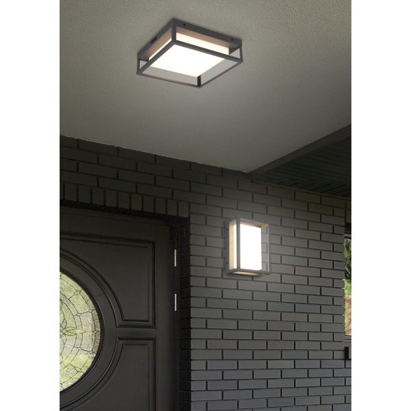 Plafondlamp Trio Leuchten Witham antraciet