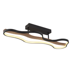 Globo Bezzy plafonniere – Ingebouwd (LED) – Zwart