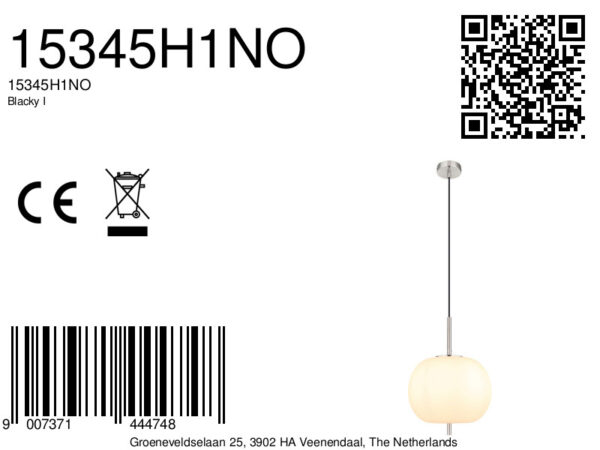 Nikkelen klassieke hanglamp rond Globo Blacky i - Image 6