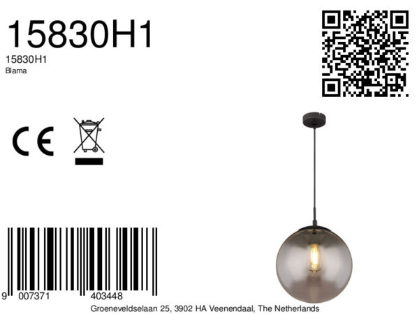 Globo Blama hanglamp – ø 30 cm – E27 (grote fitting) – Zwart - Image 4