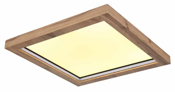 Globo Branza plafonniere – Ingebouwd (LED) – Zwart - Image 4