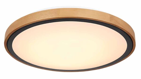 Globo Bruno plafonniere – ø 43,7 cm – Ingebouwd (LED) – Zwart - Image 4