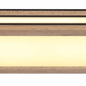 Globo Carla plafonniere – Ingebouwd (LED) – Wit