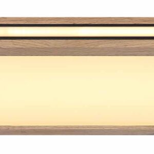 Globo Carla plafonniere – Ingebouwd (LED) – Wit