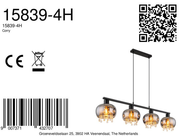 Globo Corry hanglamp – LED + E27 – Zwart - Image 5