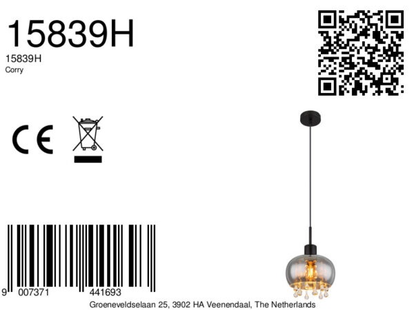 Globo Corry hanglamp – ø 21 cm – LED + E27 – Zwart - Image 5