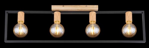 Globo Daniel plafonniere – E27 (grote fitting) – Zwart - Image 5