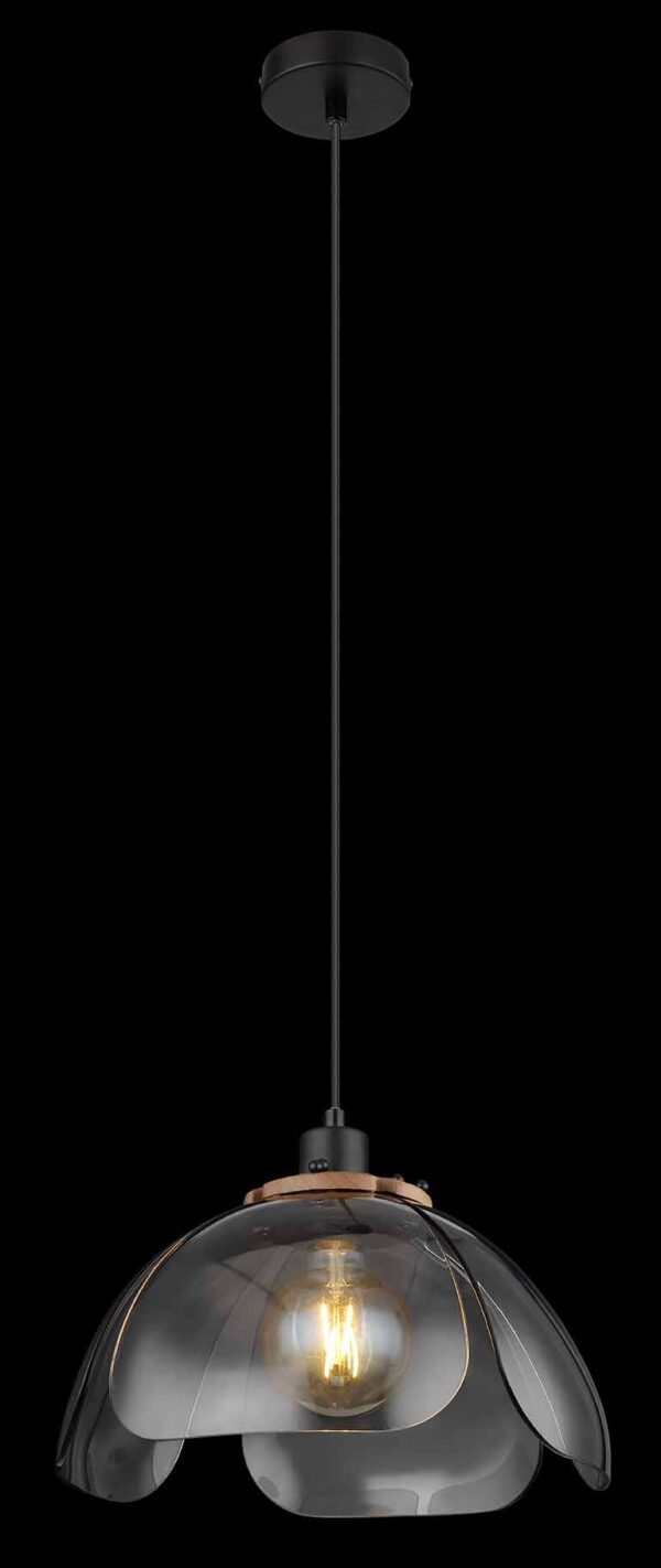 Globo Dawar hanglamp – ø 34 cm – E27 (grote fitting) – Zwart - Image 3