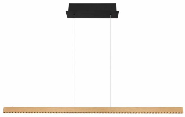 Globo Dentsy hanglamp – Ingebouwd (LED) – Zwart