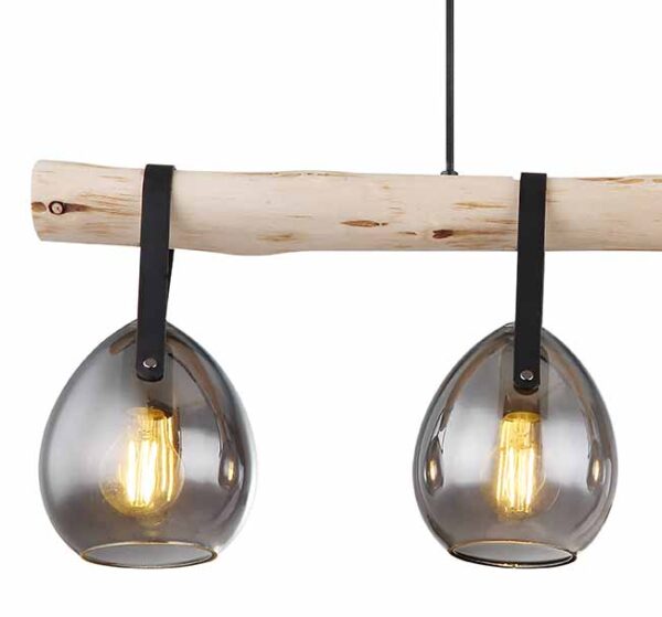 Globo Diethild hanglamp – E27 (grote fitting) – Zwart - Image 3