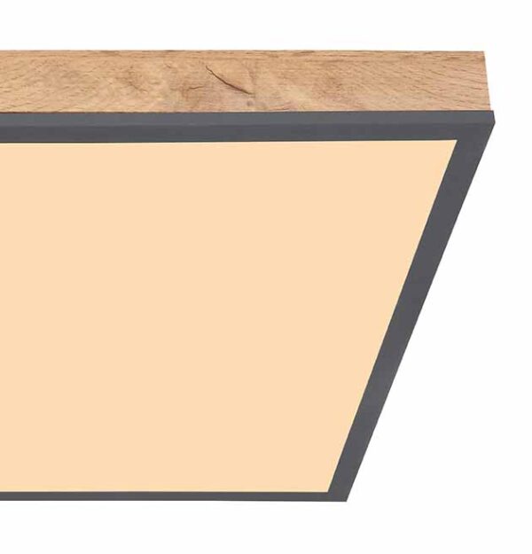 Globo Doro plafonniere – Ingebouwd (LED) – Grijs - Image 4