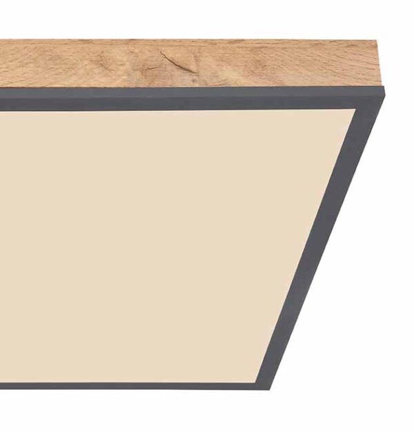 Globo Doro plafonniere – Ingebouwd (LED) – Grijs - Image 4