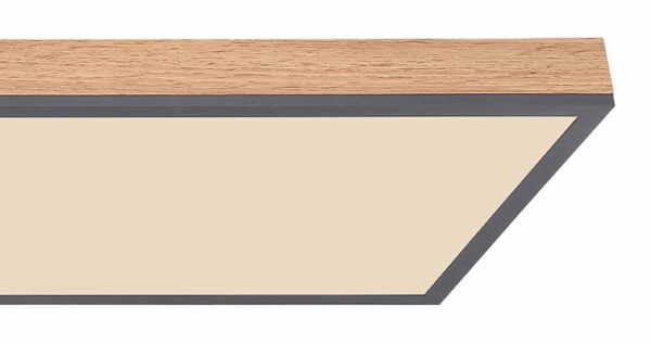 Globo Doro plafonniere – Ingebouwd (LED) – Grijs - Image 4