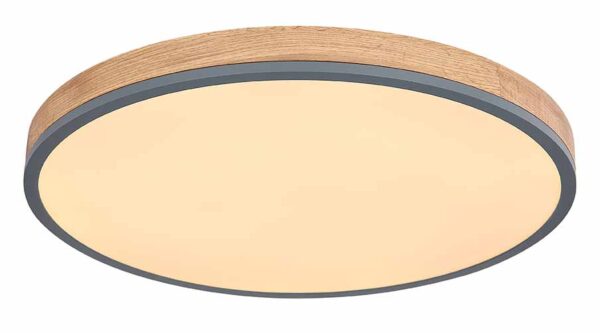 Globo Doro plafonniere – ø 60 cm – Ingebouwd (LED) – Grijs - Image 4
