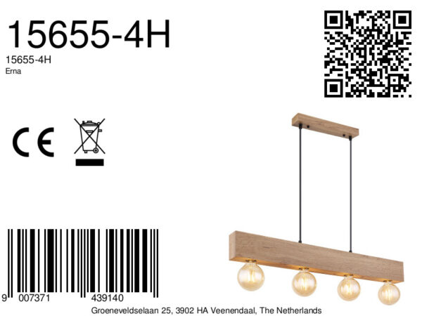 Globo Erna hanglamp – E27 (grote fitting) – Zwart - Image 5