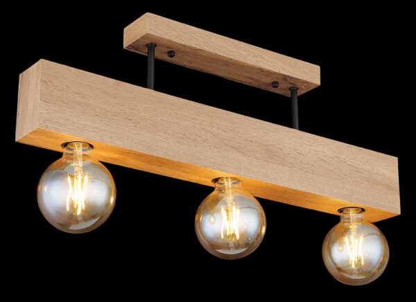 Globo Erna plafonniere – E27 (grote fitting) – Zwart - Image 4