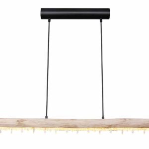 Globo Felicitas hanglamp – Ingebouwd (LED) – Zwart