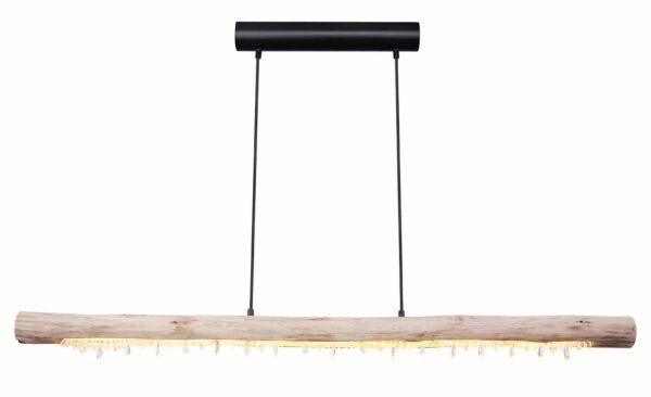Globo Felicitas hanglamp – Ingebouwd (LED) – Zwart