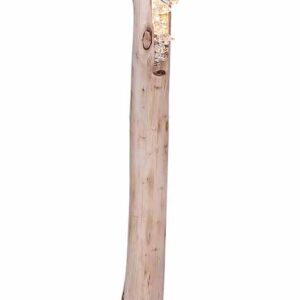 Globo Felicitas vloerlamp – ø 23 cm – Ingebouwd (LED) – Zwart