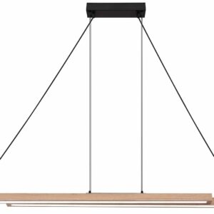Globo Grekkie hanglamp – Ingebouwd (LED) – Zwart