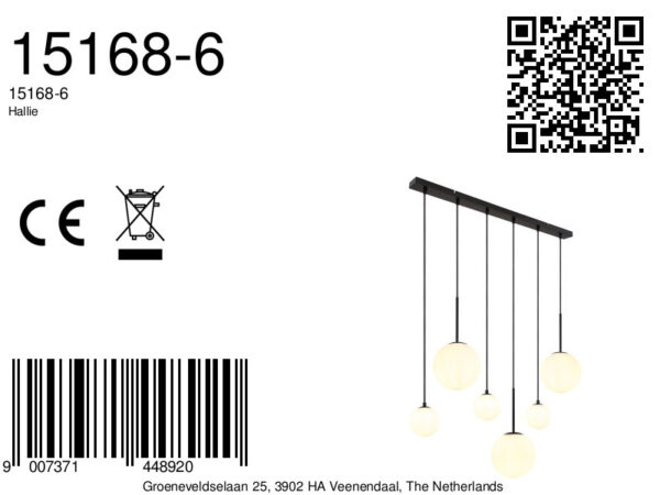 Globo Hallie hanglamp – E27 (grote fitting) – Zwart - Image 6