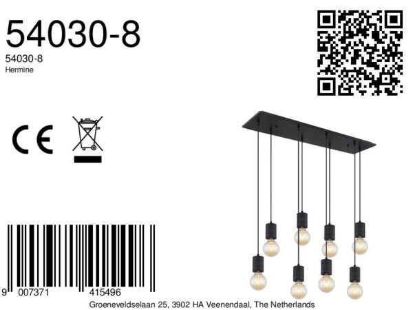 Globo Hermine hanglamp – E27 (grote fitting) – Zwart - Image 5