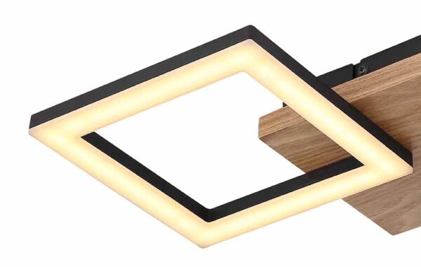 Globo Kerry plafonniere – Ingebouwd (LED) – Zwart - Image 4