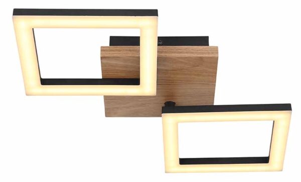 Globo Kerry plafonniere – Ingebouwd (LED) – Zwart