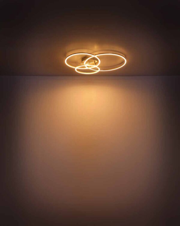Globo Munni plafonniere – Ingebouwd (LED) – Nikkel - Image 4