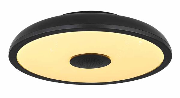 Globo Raffy plafonniere – ø 28 cm – Ingebouwd (LED) – Zwart - Image 4