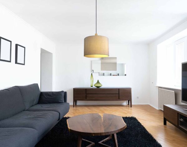 Globo Roger hanglamp – ø 40 cm – E27 (grote fitting) – Zwart - Image 3