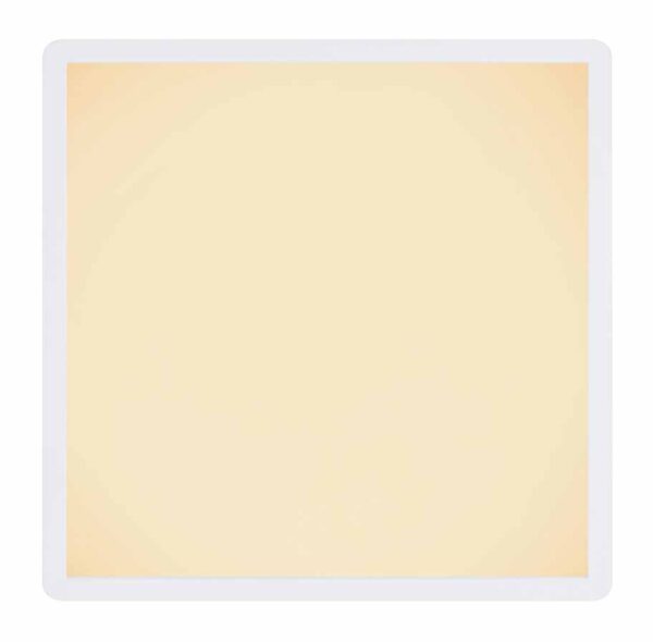 Globo Sapana plafonniere – Ingebouwd (LED) – Wit - Image 3