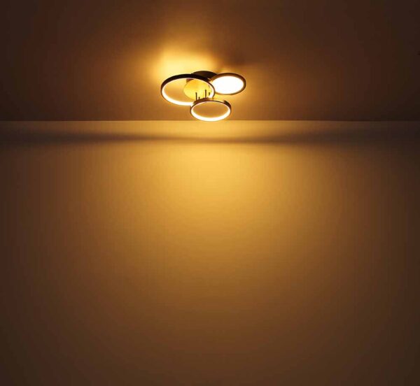Globo Sid plafonniere – Ingebouwd (LED) – Zwart - Image 4