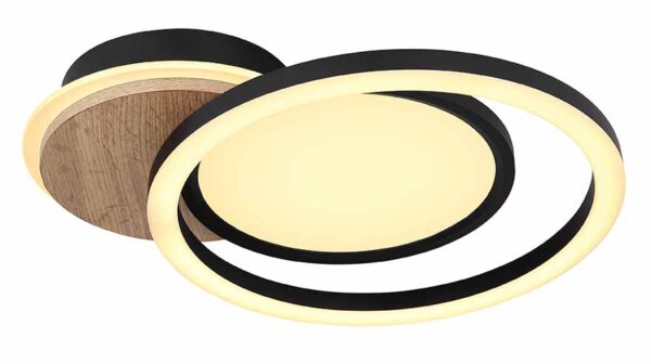 Globo Sid plafonniere – Ingebouwd (LED) – Zwart - Image 4