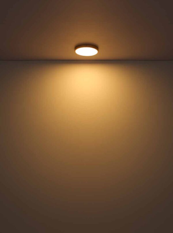 Globo Tibey plafonniere – Ingebouwd (LED) – Messing - Image 4
