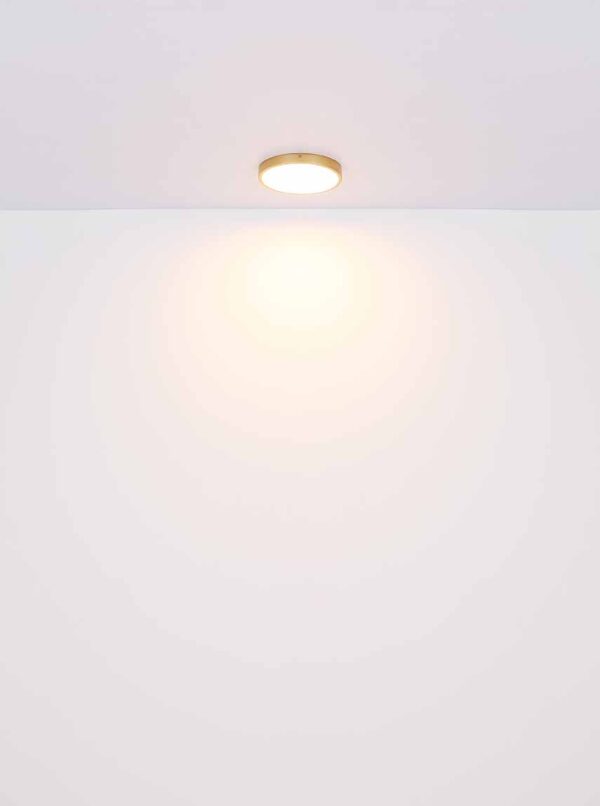 Globo Tibey plafonniere – ø 45 cm – Ingebouwd (LED) – Messing - Image 4
