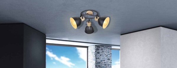 Globo Wiho spot – ø 25 cm – E27 (grote fitting) – Zwart - Image 4
