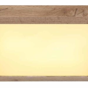 Globo Xavvi plafonniere – Ingebouwd (LED) – Wit