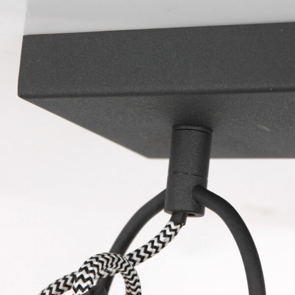 Zwarte industriële tweelichts verstelbare wandlamp Mexlite Nove - Image 3