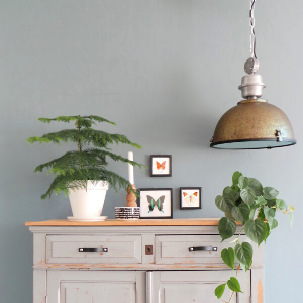 Steinhauer Bikkel industriële hanglamp - Ø42 cm - met glasplaat onderzijde - verweerd bruin - Image 2