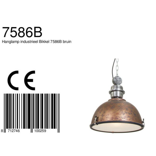 Steinhauer Bikkel industriële hanglamp - Ø42 cm - met glasplaat onderzijde - verweerd bruin - Image 8