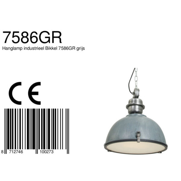 Steinhauer Bikkel industriële hanglamp - Ø42 cm - met glasplaat onderzijde - verweerd grijs - Image 8