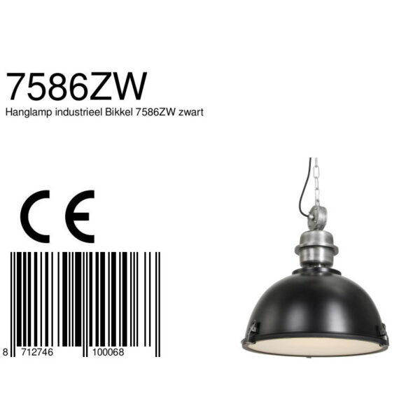 Steinhauer Bikkel fabriekslamp - glasplaat - Ø42 cm - robuuste details - zwart - Image 8